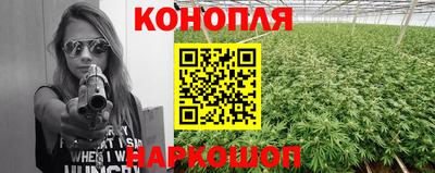 шишки Можга