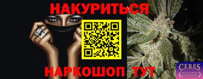 шишки Можга