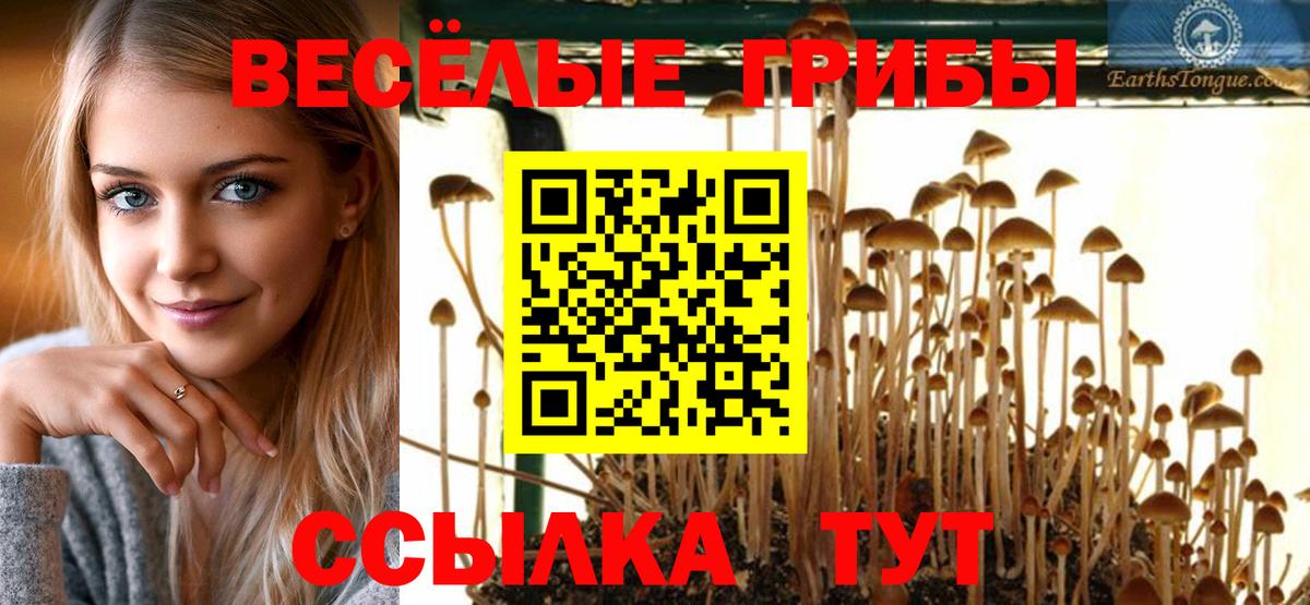 Псилоцибиновые грибы мицелий Владимир