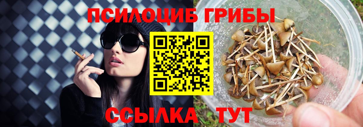 Владимир  Галлюциногенные грибы мицелий  Вход с VPN 